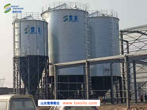 河北衡水2臺玉米和1臺150T豆粕錐底鋼板倉安裝完成