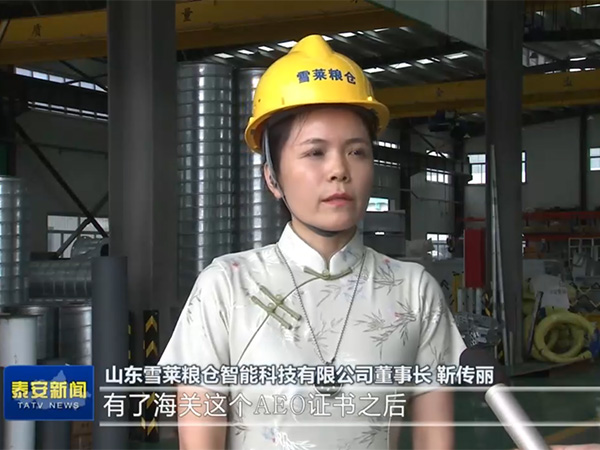 緊跟政策風向,把握跨海之帆-雪萊將以滿腔熱情讓世界愛上中國造